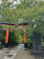 艾蜜莉