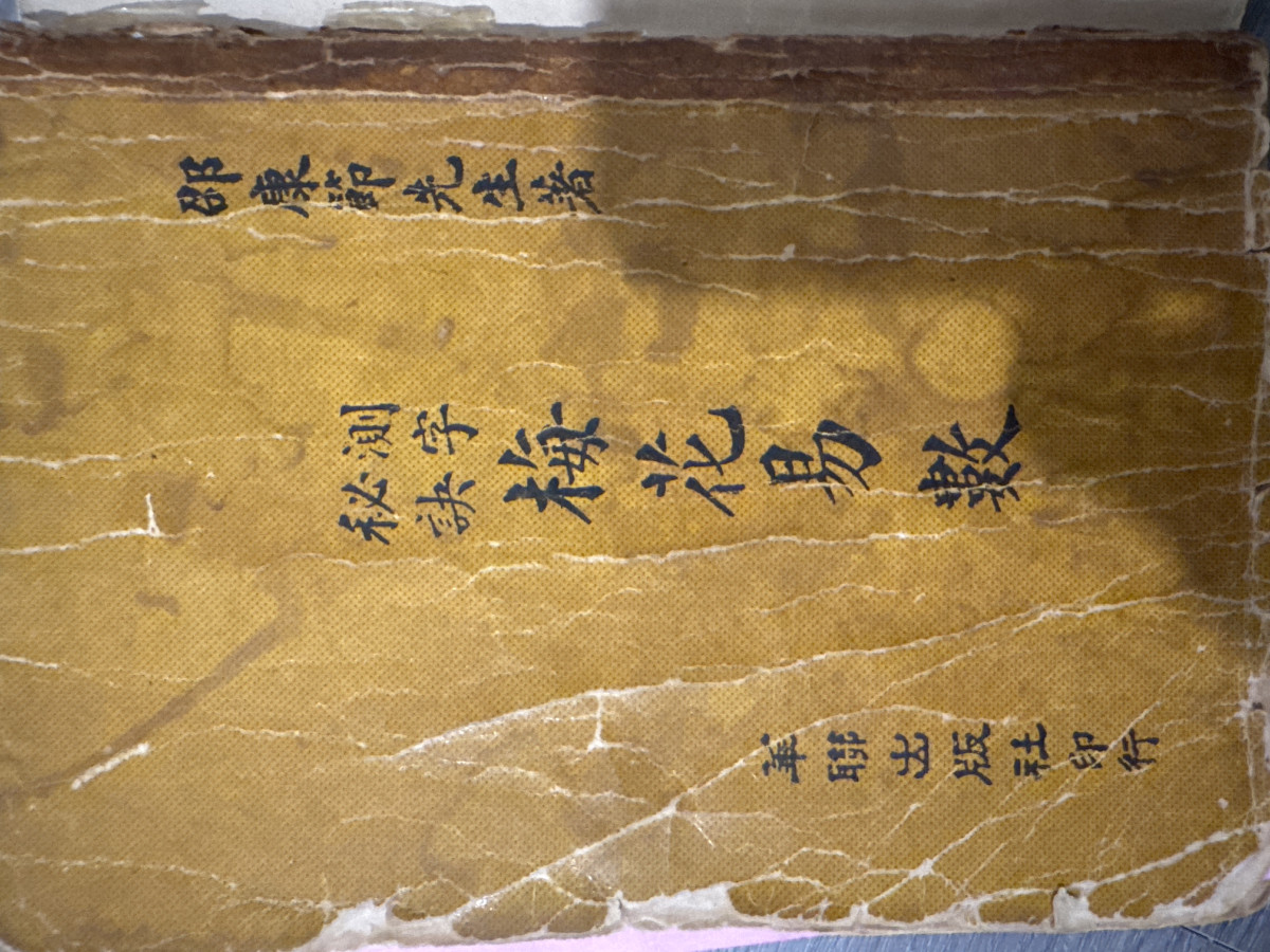 革年變局-革命調整變化