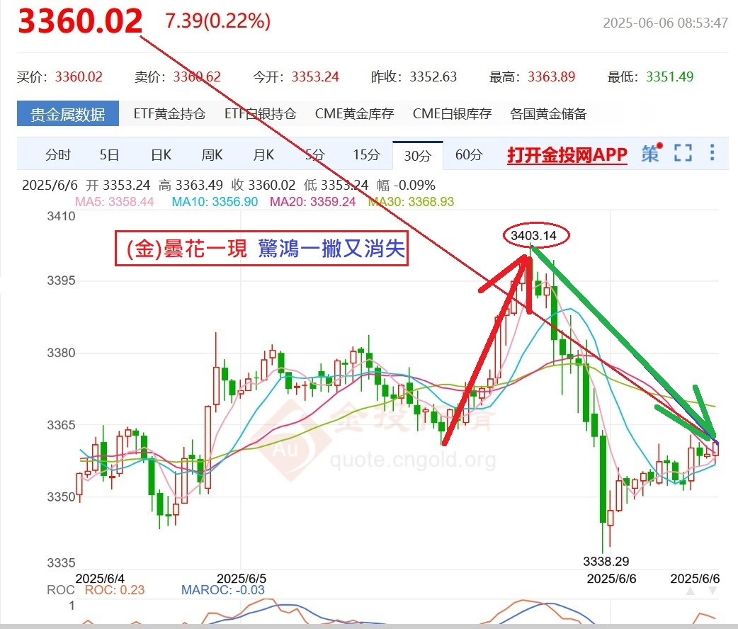 金曇花~昨夜一現至3403跌回至3360