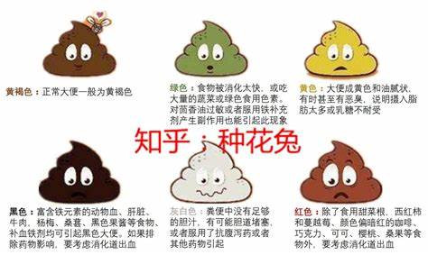 這麼愛洗版，大家一起來唄