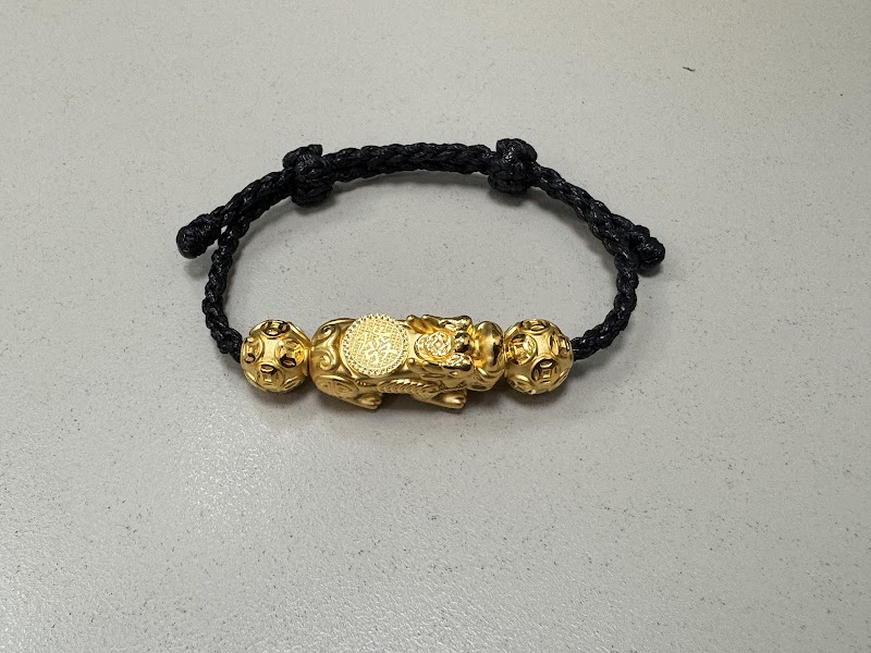 金喜飛來 照片 1