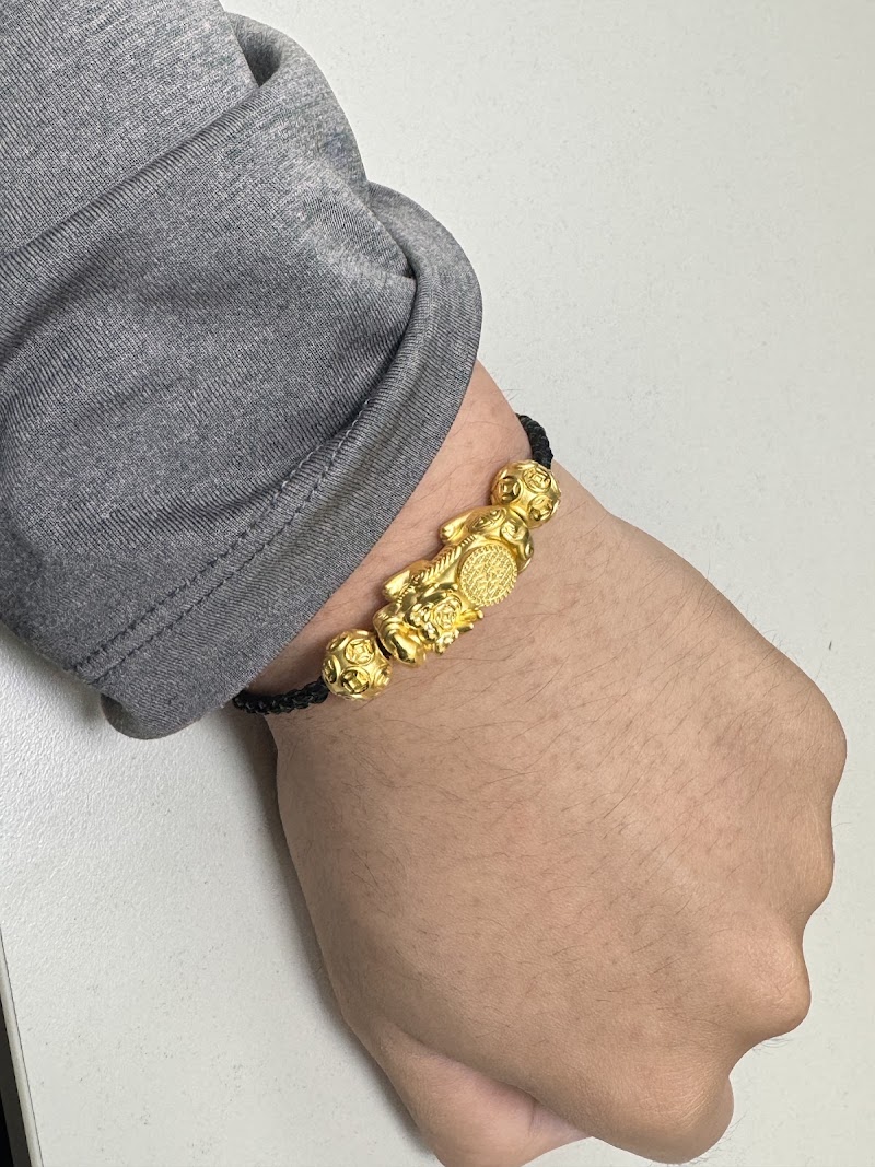 金喜飛來 照片 2